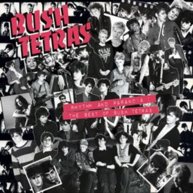 Bush Tetras - Rhythm & Paranoia: The Best Of Bush Tetras (2CD/BOOK) (CD)