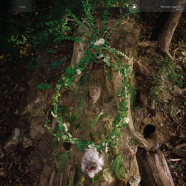 Pharmakon - Maggot Mass (Transparent Seaweed Vinyl) (Vinyl) (US Import)