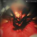 Spelling - Portrait Of My Heart (CD)