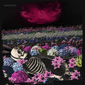Dead Rabbitts - Redefined (Vinyl) (US Import)
