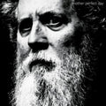 Bill Orcutt - Another Perfect Day (Vinyl) (US Import)