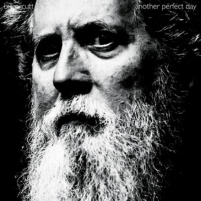 Bill Orcutt - Another Perfect Day (Vinyl) (US Import)