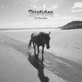 Triptides - So Many Days (CD)