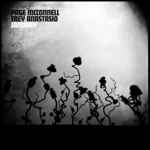 Mcconnell,Page & Trey Anastasio - January (Gold Vinyl) (Vinyl) (US Import)