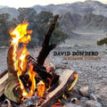 David Dondero - Immersion Therapy (Vinyl) (US Import)