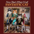 Fantastic Cat - Now That's What I Call Fantastic Cat (Vinyl) (US Import)