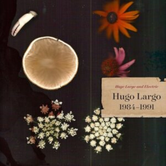 Hugo Largo - Huge, Large & Electric: Hugo Largo 1984-1991 (3LP) (Vinyl) (US Import)