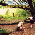Beneath The Desert Floor Chapter 2 - Glitter Wizard: Hunting Gatherers (Vinyl) (US Import)
