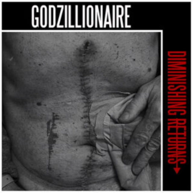 Godzillionaire - Diminishing Returns (Vinyl) (US Import)