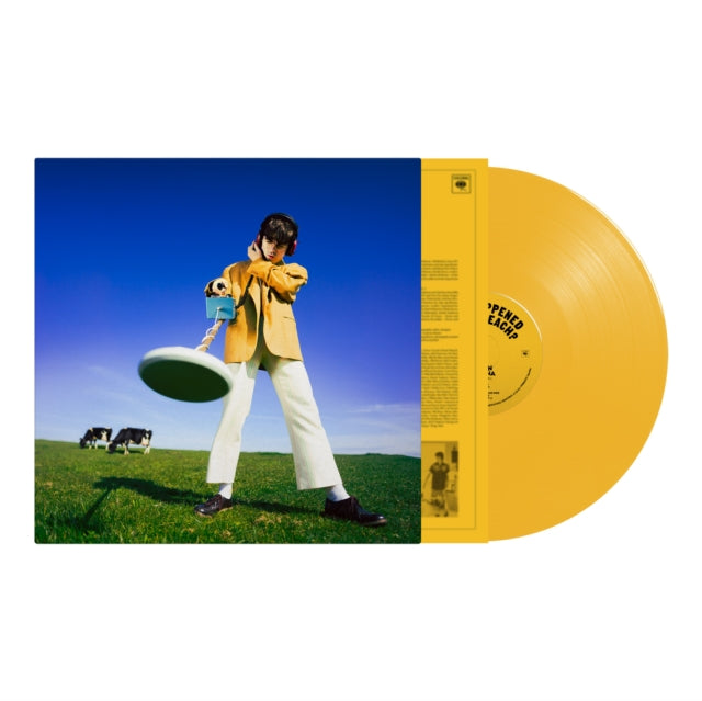 Declan Mckenna - What Happened To The Beach? (X) (Yellow Vinyl) (I) (Vinyl) (US Import)