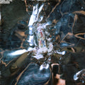 Model & Actriz - Dogsbody (Vinyl) (US Import)