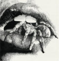 Masheena - Let The Spiders In (Vinyl) (US Import)