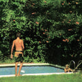 Toledo - How It Ends (Vinyl) (US Import)