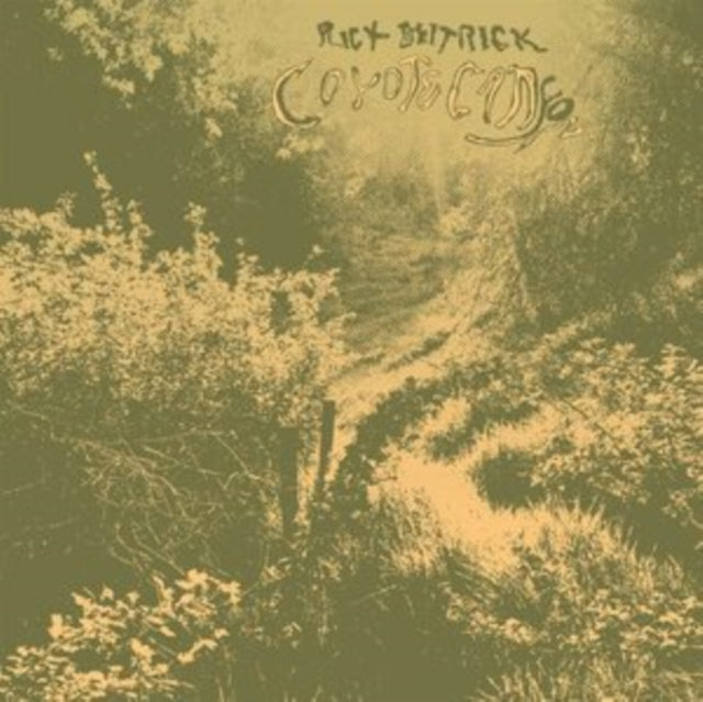 Rick Deitrick - Coyote Canyon (Vinyl) (US Import)