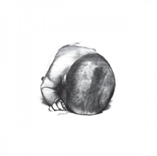 Liquid Idiot / Idiot Orchestra - S/T (Vinyl) (US Import)