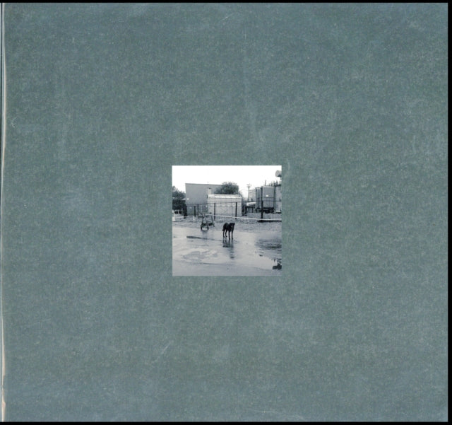 Nivhek - After Its Own Death / Walking In A Spiral Towards The House (Vinyl) (US Import)