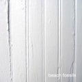 Beach Fossils - Beach Fossils (CD)