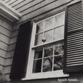 Beach Fossils - What A Pleasure (Import) (Vinyl) (US Import)