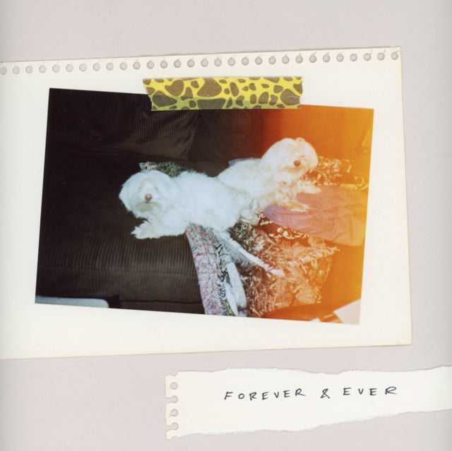 Sales - Forever & Ever (Vinyl) (US Import)