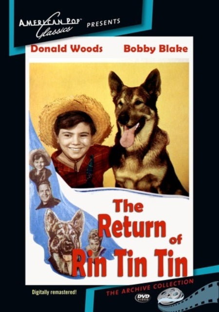 Return Of Rin Tin Tin (DVD) (Region 1 US Import)