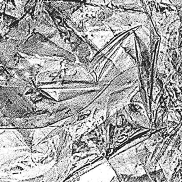 Reime - Reime (CD)