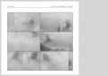Jan Jelinek - Soundtrack For Seascape - Polyptych (Vinyl) (US Import)