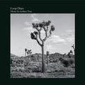 Loop Diary - Music For Joshua Tree (Vinyl) (US Import)