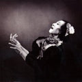 Antony & The Johnsons - Crying Light (CD)