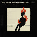 Bokante & Metropole Orkest - What Heat (Vinyl) (US Import)