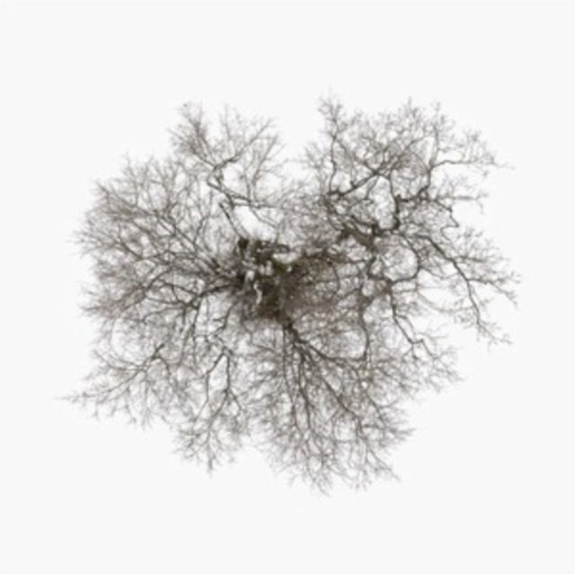 John Metcalfe - Tree (Vinyl) (US Import)
