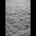 Paysage D'Hiver - Schnee (Vinyl) (US Import)