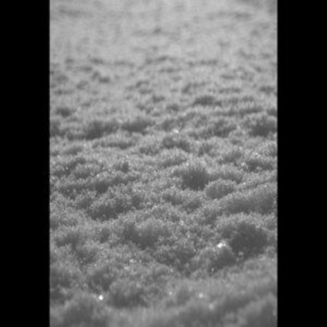 Paysage D'Hiver - Schnee (Vinyl) (US Import)
