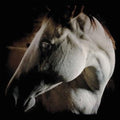 Brother Dege - How To Kill A Horse (CD)