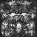 Aptorian Demon - Liv Tar Slutt (Clear Vinyl) (Vinyl) (US Import)