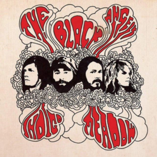 Black Angels - Indigo Meadow (CD)