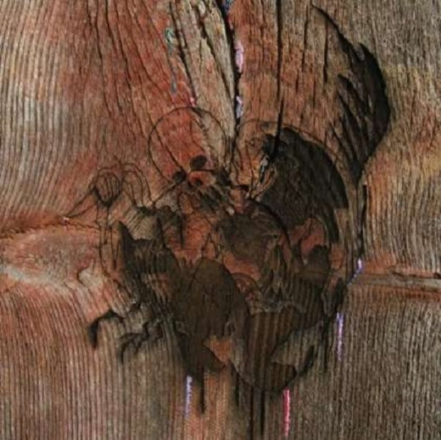 Avey Tare's Slasher Flicks - Enter The Slasher House (2LP/DL Card) (Vinyl) (US Import)