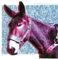 Protomartyr - Ultimate Success Today (CD)