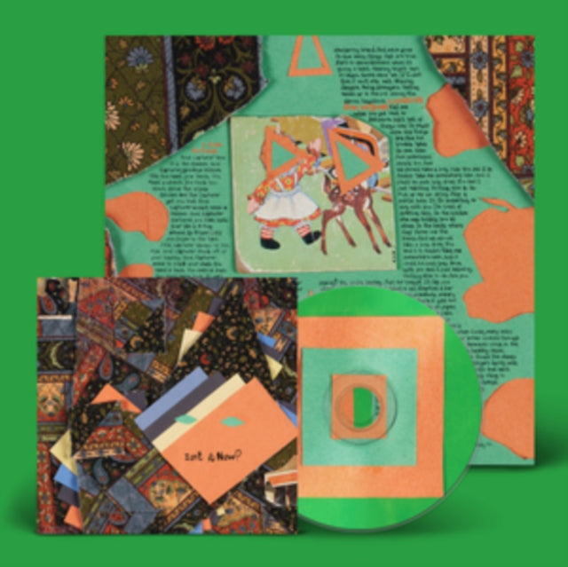 Animal Collective - Isn't It Now? (CD)