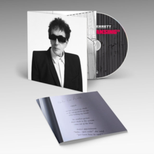 Peter Perrett - Cleansing (CD)