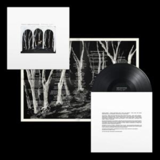 These New Puritans - Crooked Wing (Vinyl) (US Import)