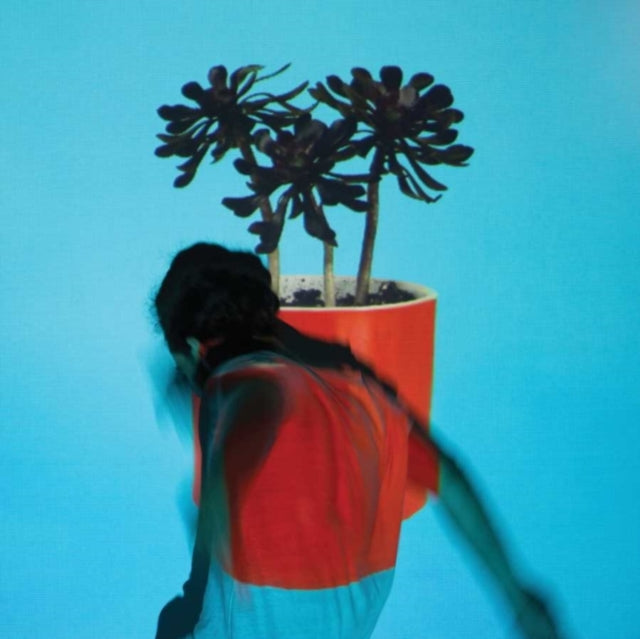 Local Natives - Sunlit Youth (150g/DL Card) (Vinyl) (US Import)