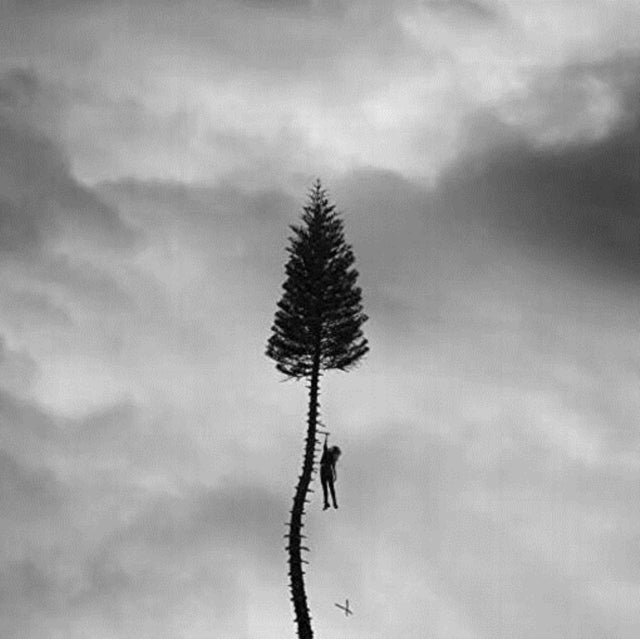 Manchester Orchestra - Black Mile To The Surface (CD)