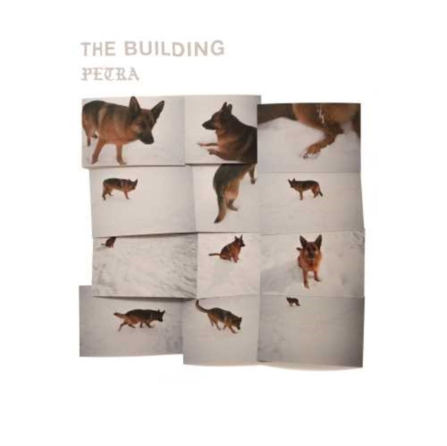 Building - Petra (Vinyl) (US Import)