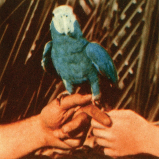 Andrew Bird - Are You Serious (Vinyl) (US Import)