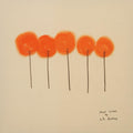 L.S. Dunes - Past Lives (Tangerine Vinyl) (Vinyl) (US Import)