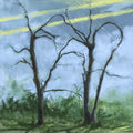 Daffo - Where The Earth Bends (CD)