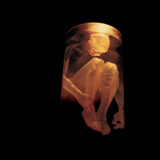 Alice In Chains - Nothing Safe: Best Of The Box (CD)