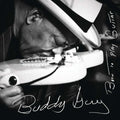 Buddy Guy - Born To Play Guitar (CD)