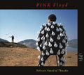 Pink Floyd - Delicate Sound Of Thunder (2CD) (CD)