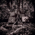 Kamasi Washington - Harmony Of Difference (Vinyl) (US Import)